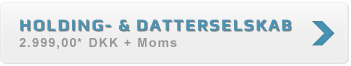 2999 Holding- og datterselskab