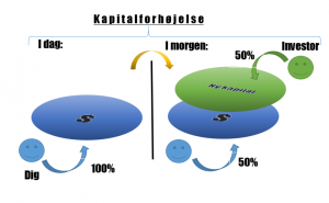 kapitalforhøjelse i et selskab